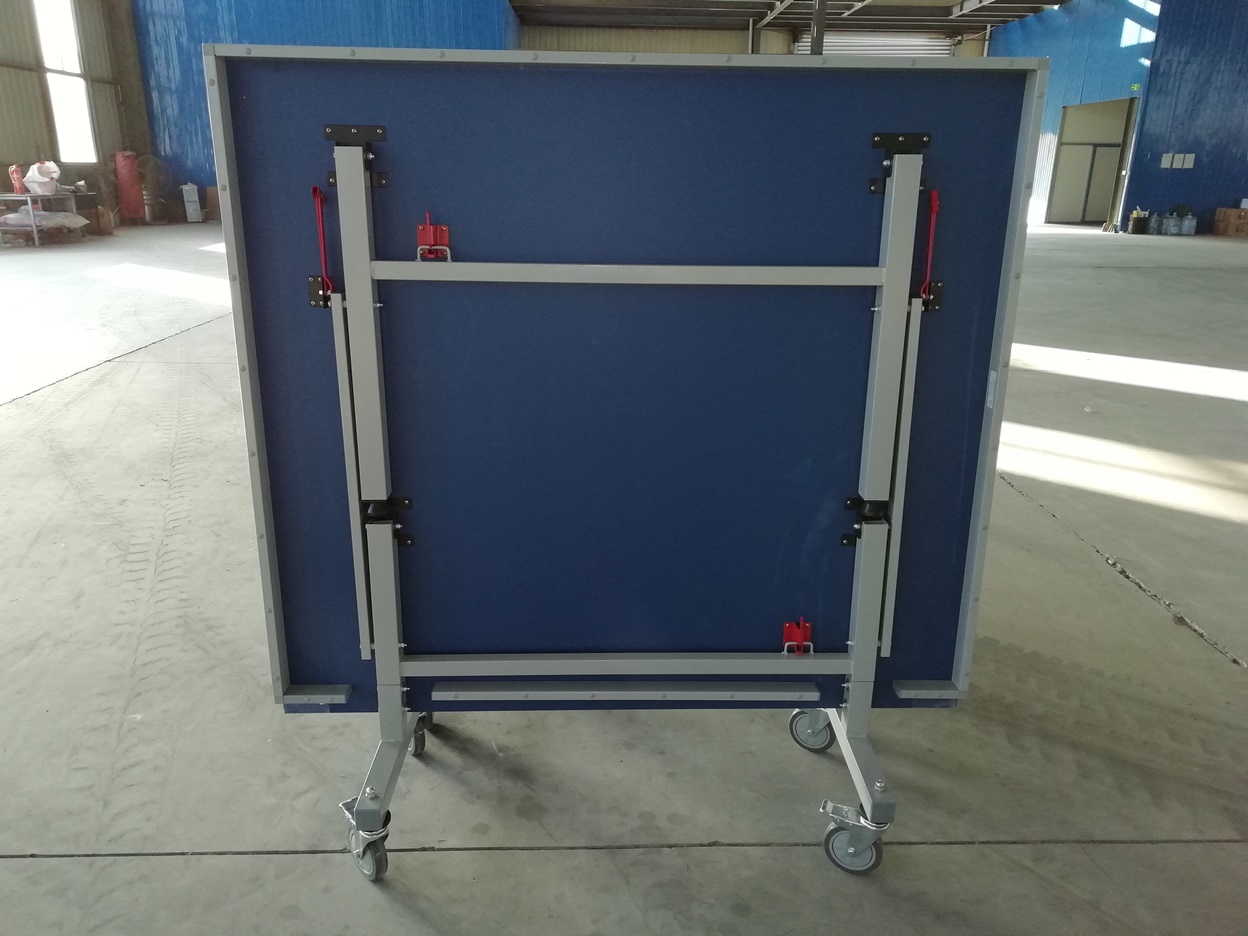 DOUBLE FISH TABLE TENNIS PING PONG TABLE 25MM TOP