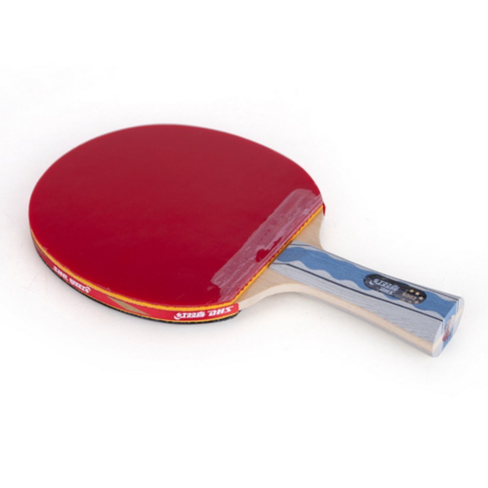 Настольный теннис южная. DHS Star 50 Racket. Table Tennis DHS t1223 ITTF. Настольный теннис овальный. Гибридные липучки настольный теннис.